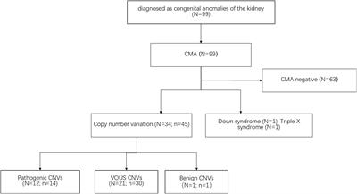 Copy Number Variations Analysis Identifies QPRT as a Candidate Gene Associated With Susceptibility for Solitary Functioning Kidney